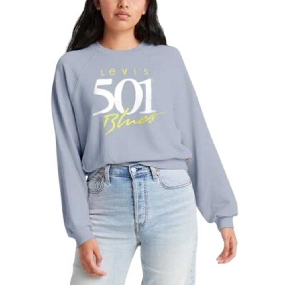 Levis Trendy Plus Size Graphic Vintage Crewneck Sweatshirt Blues Artic Ice SZ 2X